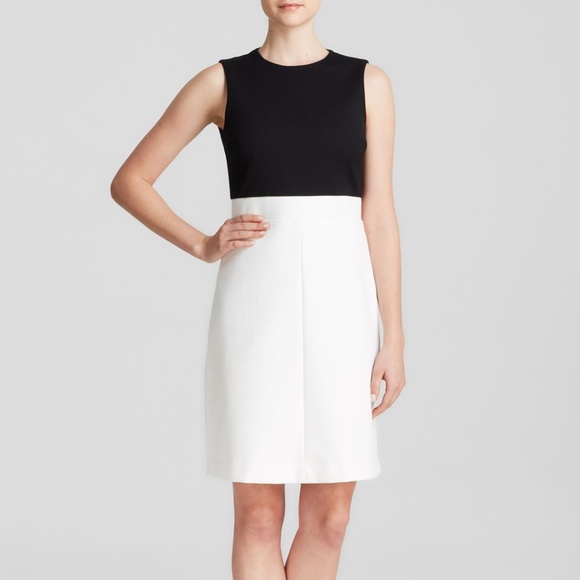 Theory Dresses & Skirts - NWT THEORY 'Raneid' Colour Block Dress Sz 2